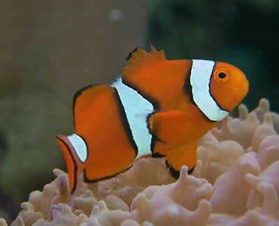 462908642 27125436547101157 5459578292985346070 n