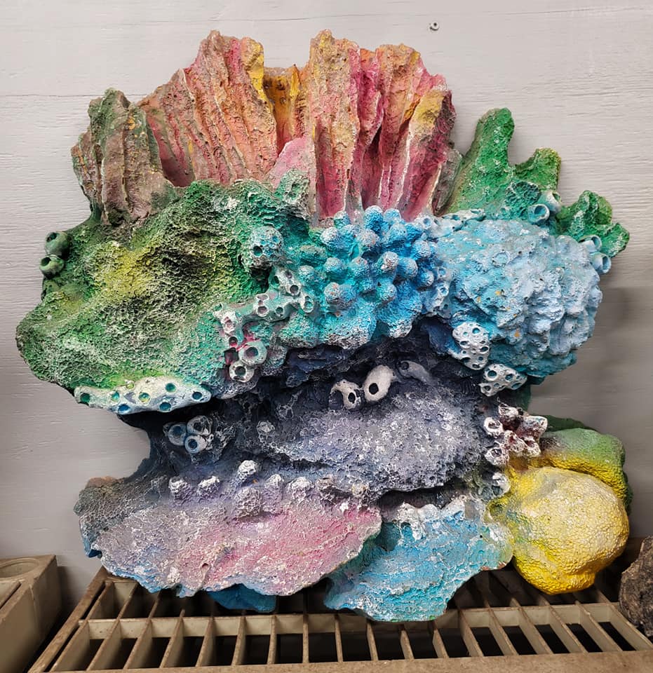 491106614 29079968338314625 2299378007450763477 n